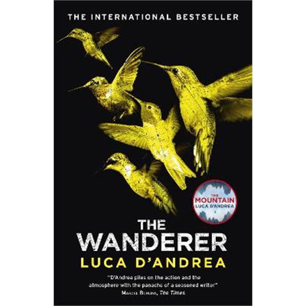 The Wanderer: The Sunday Times Thriller of the Month (Paperback) - Luca D'Andrea